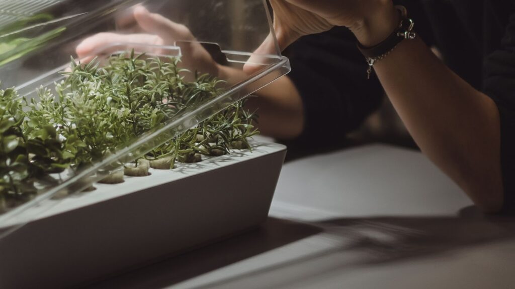 Benefits of Proper Drying and Curing