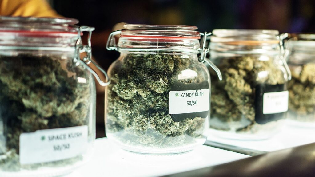 6 Ways to Store Dried Weed