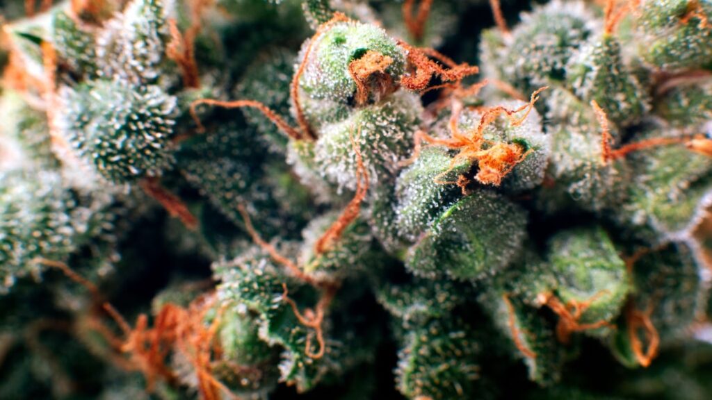 Challenges and Fixes in the 60/60 Drying Method