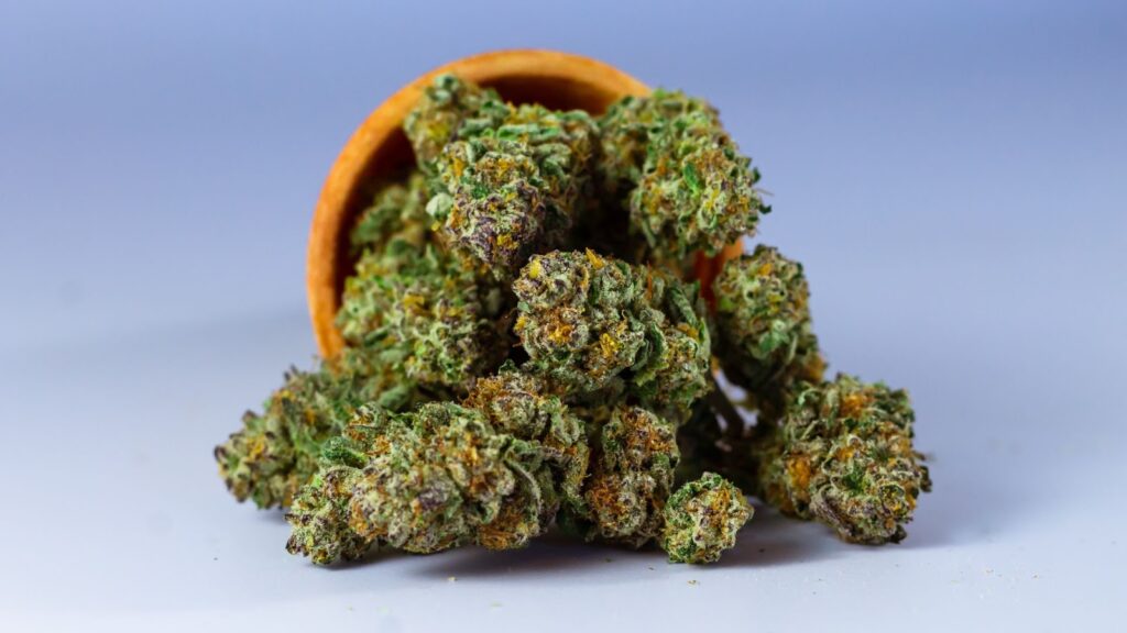 Benefits of Air Layering for Cannabis