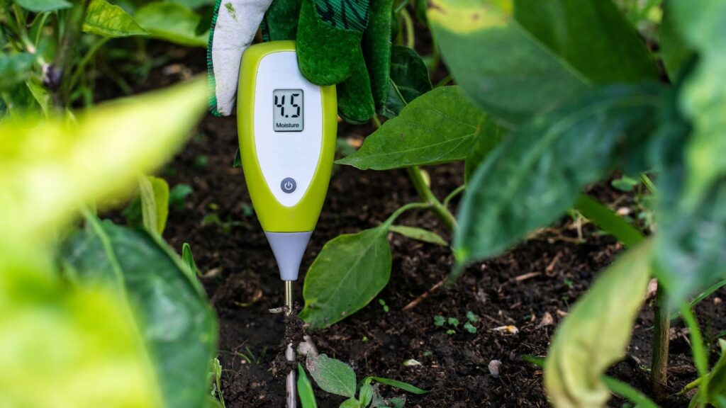 Step-by-Step Guide: How to Use a Moisture Meter for Cannabis