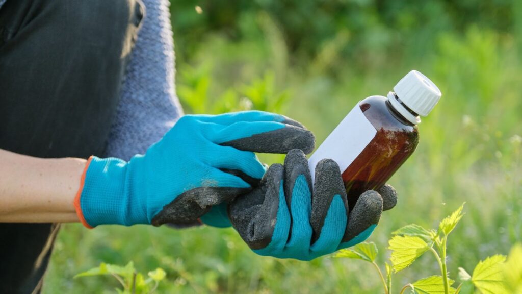 Types of Fertilizers for Budding Cannabis