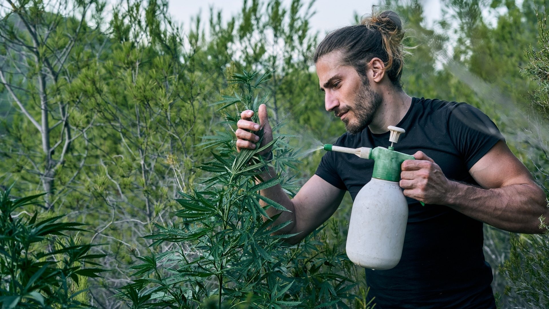 Watering Mistakes That Quietly Reduce Yield