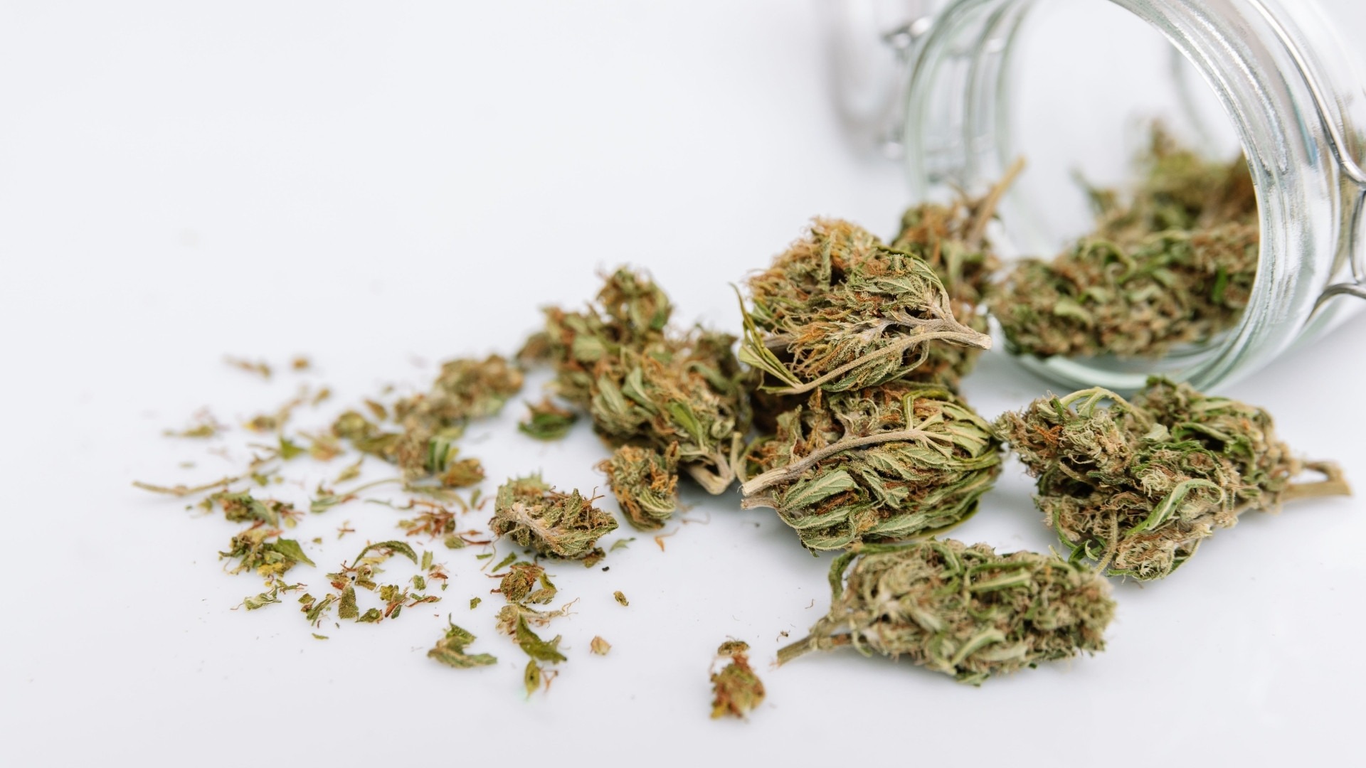 Best Outdoor Drying Setups for Cannabis
