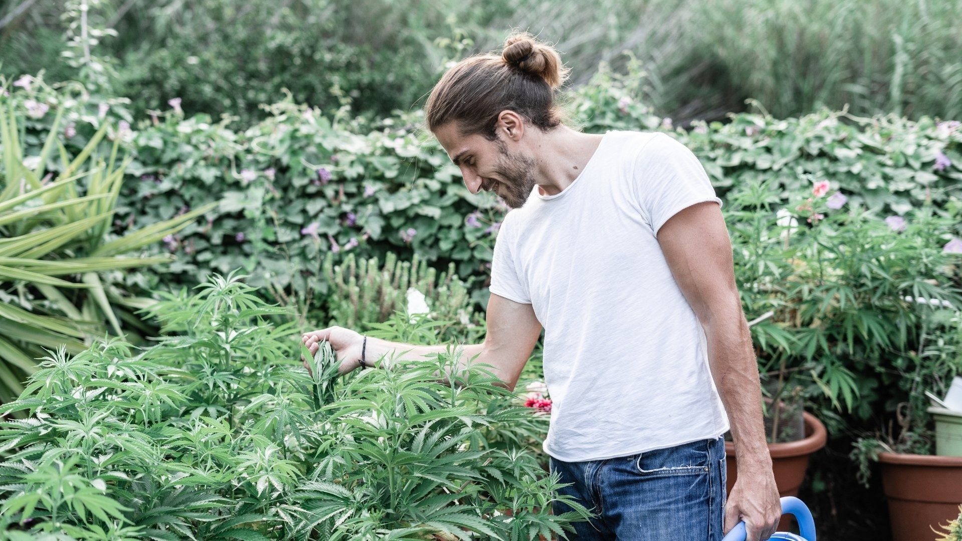 Harvest Planning and Coordination