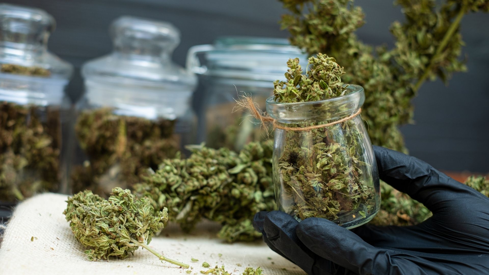 VPD for Drying Weed: Proven Methods to Reduce Risk and Improve Yield