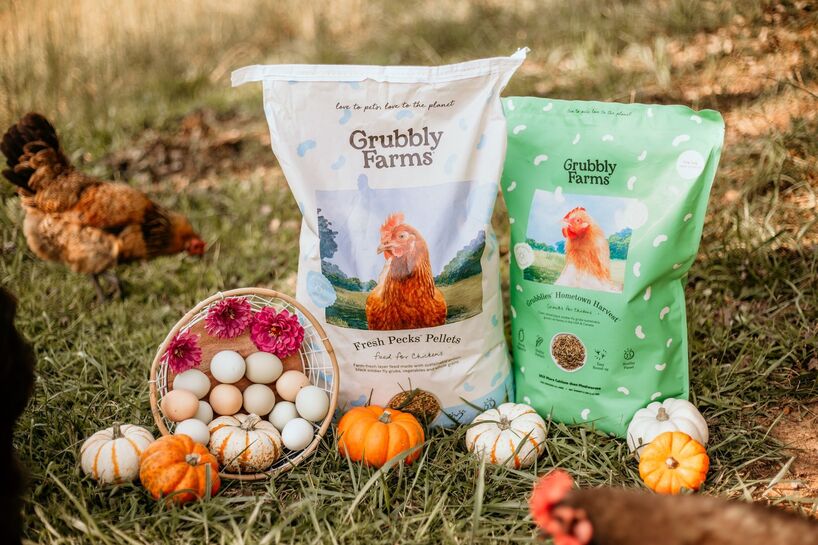Grubbly Farms chicken feed bags displayed outdoors with fresh eggs and pumpkins