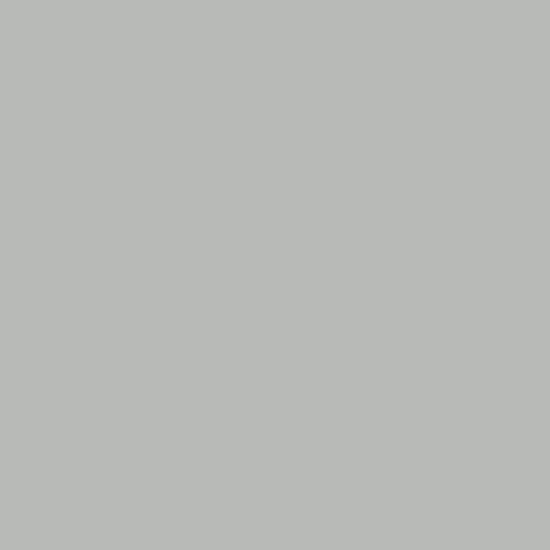 Duralloy Colour Swatch Gull Grey Matt