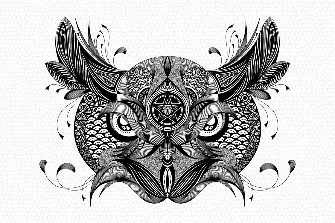Highly detailed, symmetrical owl face illustration in black and white, ornamental linework.