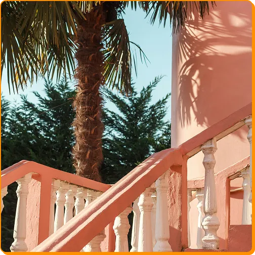 Sunny outdoor staircase with white pillars and a palm tree.