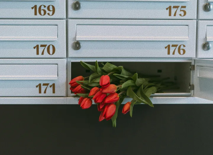 A bouquet of red tulips inside an open white metal mailbox numbered 176.
