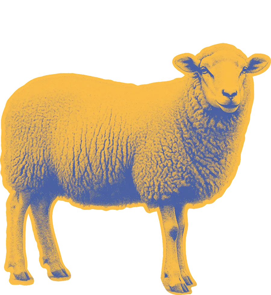 animation-sheep-2