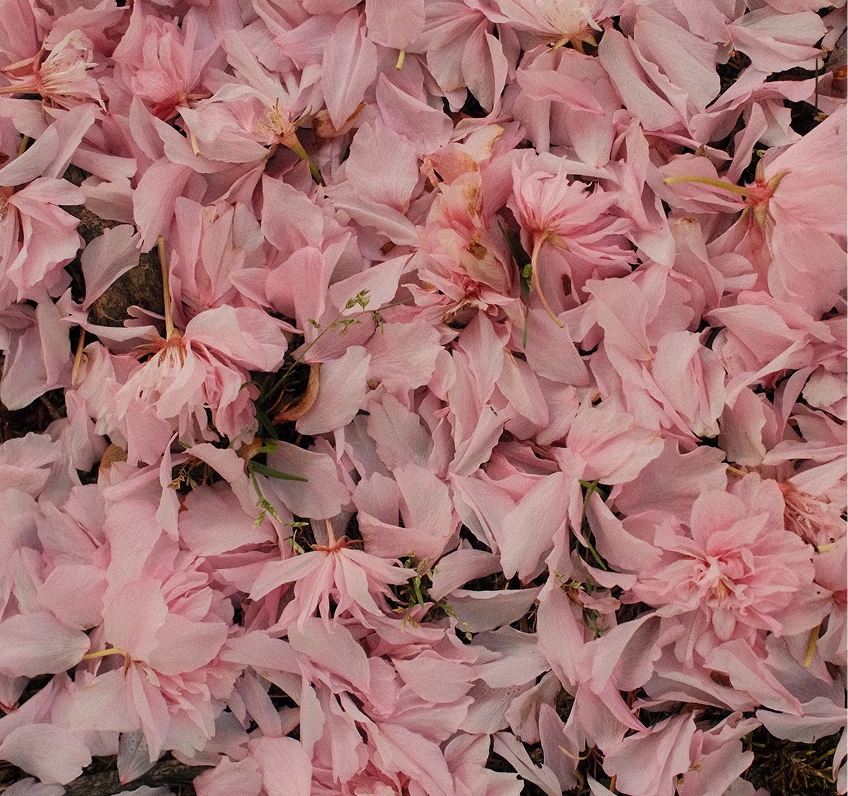 Blog Item Image