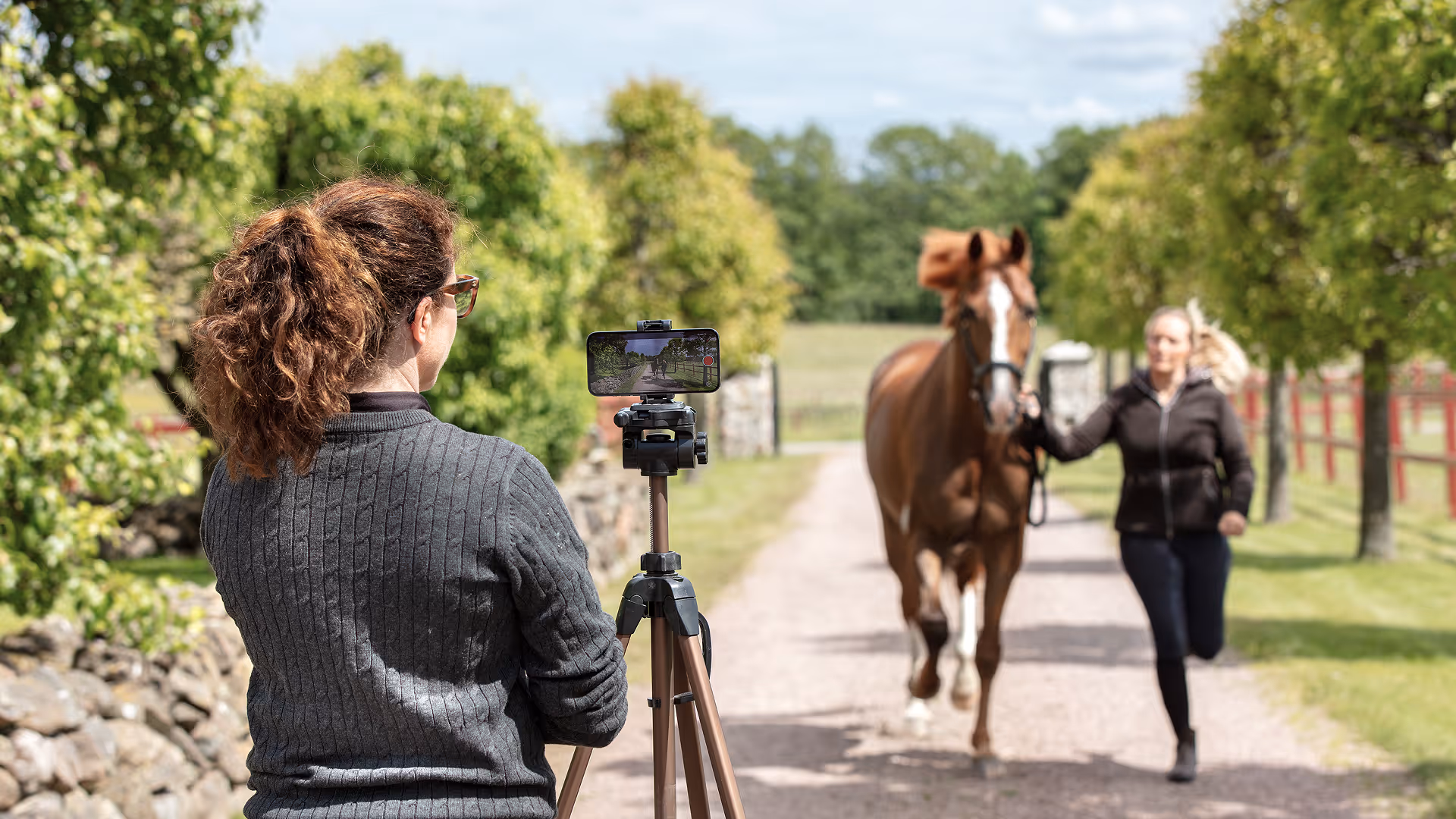 Woman filming another woman running alongside a brown horse on a tree-lined path using a smartphone on a tripod.