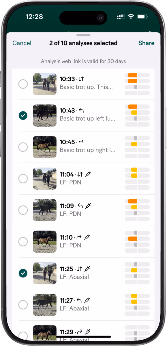 Smartphone screen showing a list of horse gait analyses with thumbnails, timestamps, brief descriptions, colored bar indicators, and two analyses selected.