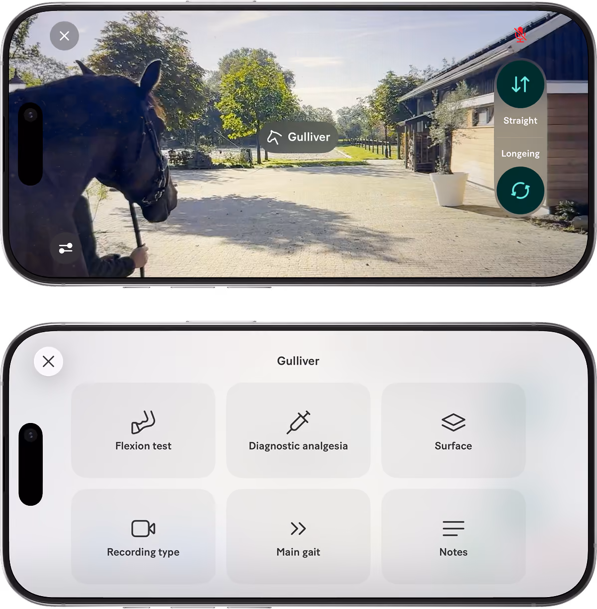 Two smartphone screens showing a recording view with a horse named Gulliver and an app interface for equine assessment with options including Flexion test, Diagnostic analgesia, Surface, Recording type, Main gait, and Notes.