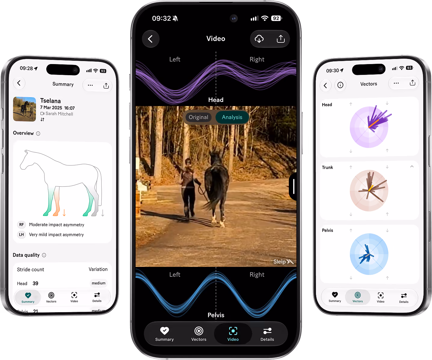 Three smartphones displaying the Sleip app: left phone shows video of a person trotting a horse outdoors with wave graphs labeled Head and Pelvis above and below; middle phone displays a summary with horse profile, date, user name, a horse outline highlighting Right Front leg with moderate impact asymmetry and Left Hind leg with mild asymmetry, plus stride count and variation info; right phone shows vector charts for Head, Trunk, and Pelvis with color-coded directional data.