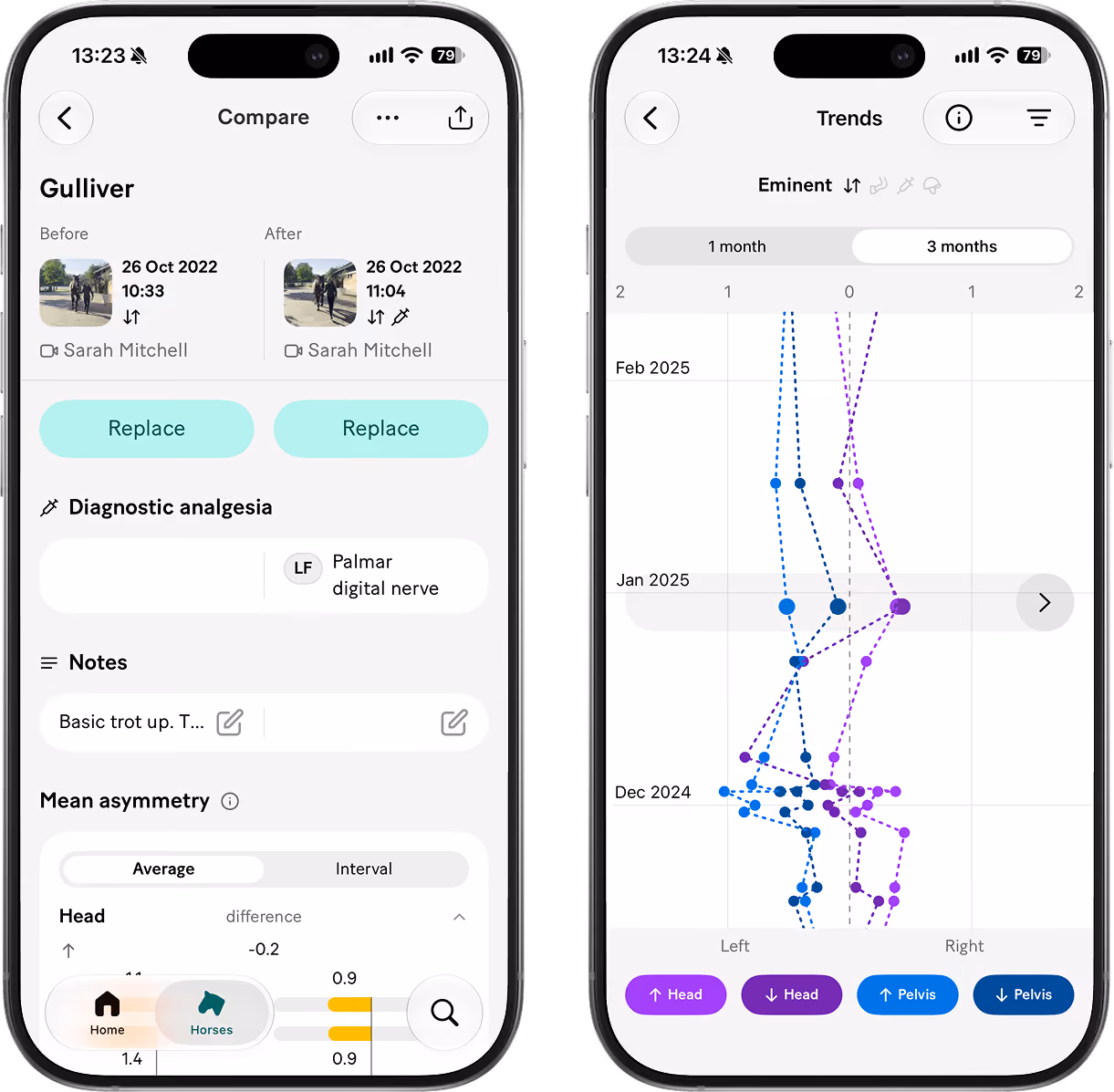 Two smartphones side by side displaying an app interface for horse gait analysis. Left screen titled 'Compare' shows before and after videos of a horse named Gulliver dated 26 Oct 2022 at 10:33 and 11:04 with options to replace videos, diagnostic analgesia info for palmar digital nerve, notes section, and mean asymmetry data for head with values and a toggle for average or interval. Bottom navigation bar has Home, Horses, and search icons. Right screen titled 'Trends' shows a chart with dotted lines in blue and purple representing head and pelvis movement trends over three months with data points from Dec 2024 to Feb 2025, toggles for 1 month and 3 months, and buttons to select upward or downward movement for head and pelvis. Both screens have back arrows and standard phone status icons at top.