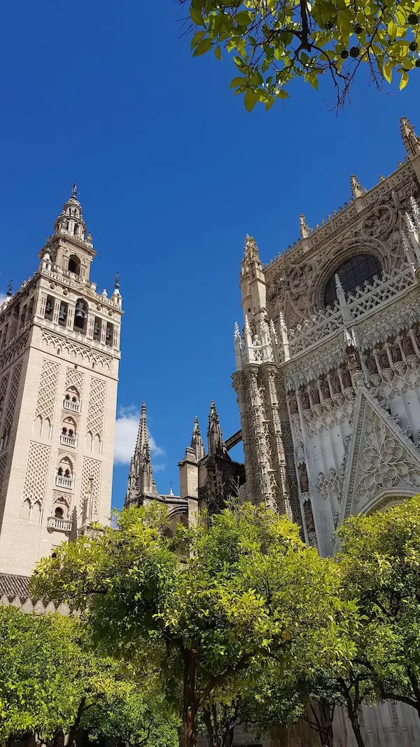 La Giralda and the Sevilla Cathedral tower seen from the courtyard with trees
