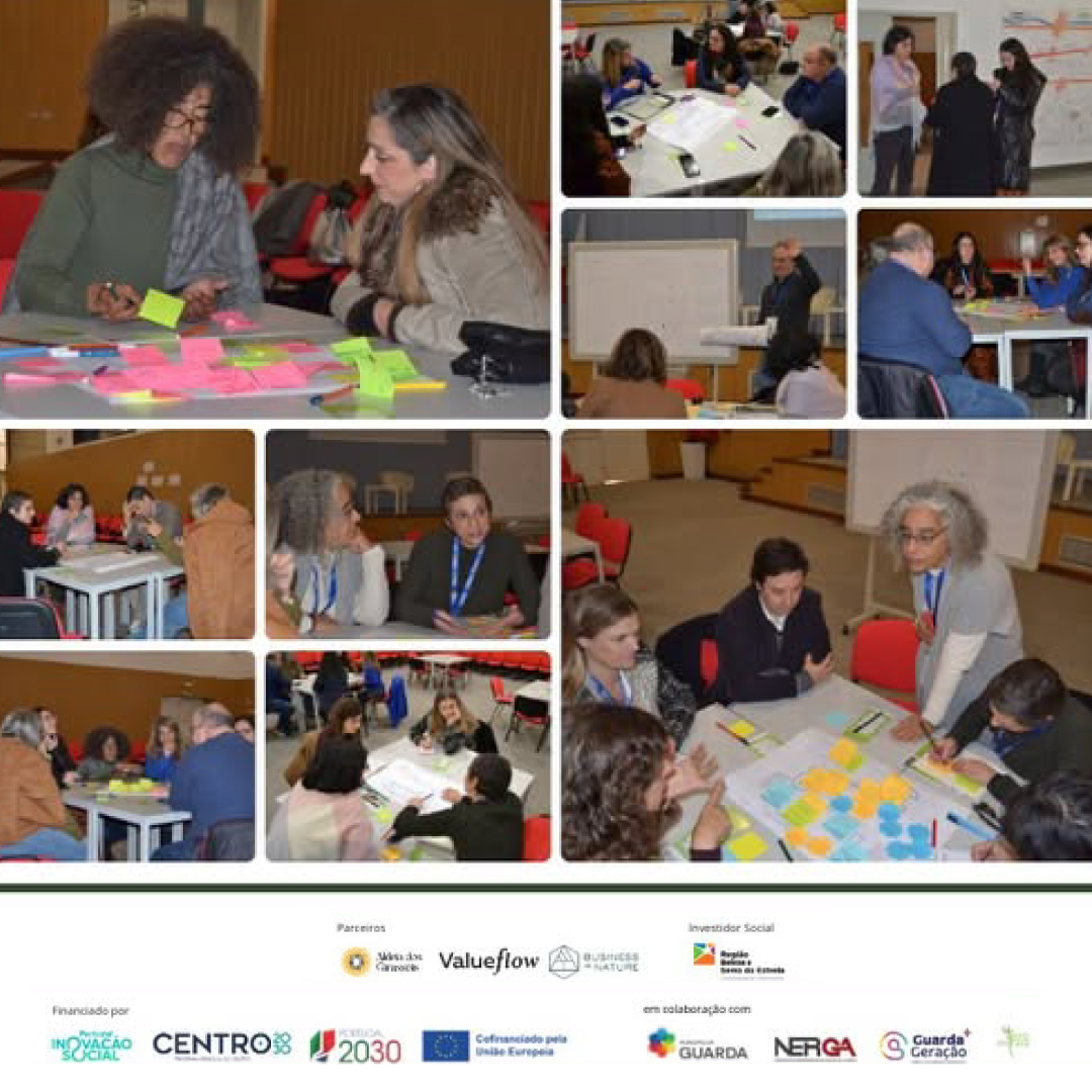 Collage showing a social innovation event with presentations, group discussions, and a diverse audience, alongside the 3S BSE incubator logo and text describing a social innovation ecosystem in Beiras and Serra da Estrela.