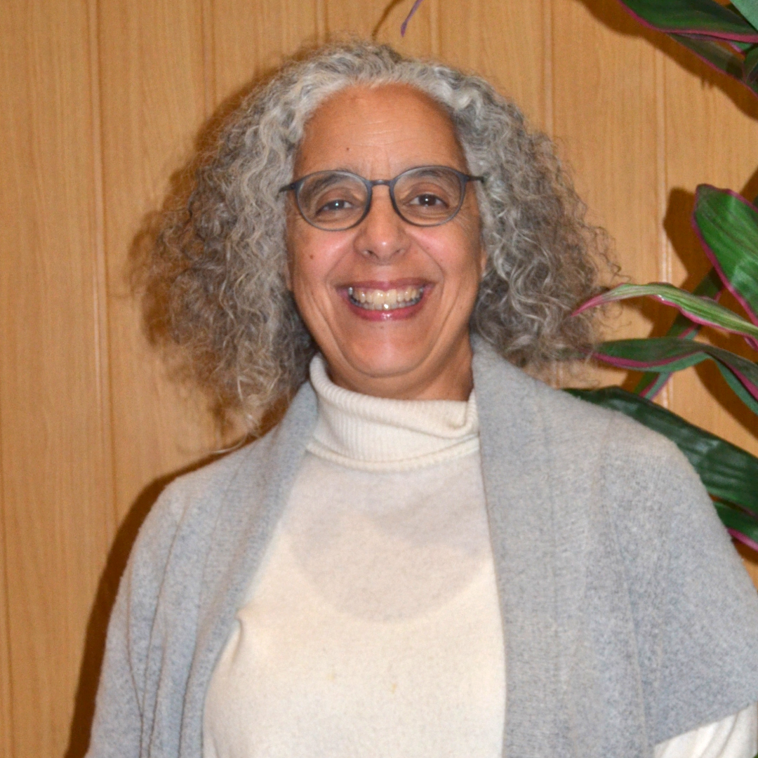 Logo with the blue letters V, E with an eye design inside, and R followed by a green gradient plus sign, with the words 'VALORIZAR EDUCAR RESPONSABILIZAR' below.