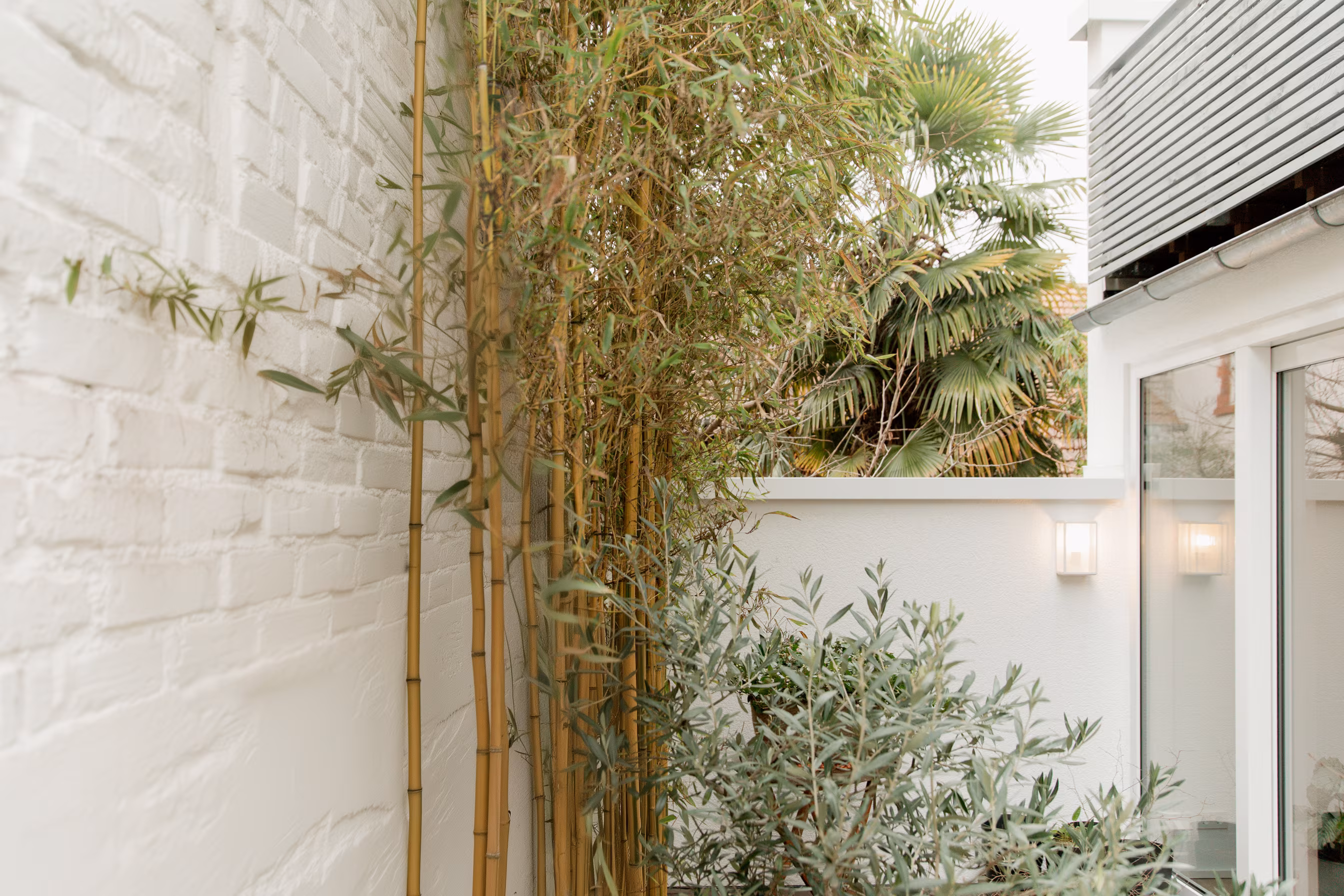 Outdoor narrow garden area with bamboo plants along a white brick wall, potted greenery, a white fence, a modern wall light fixture, and part of a building with a sliding glass door.