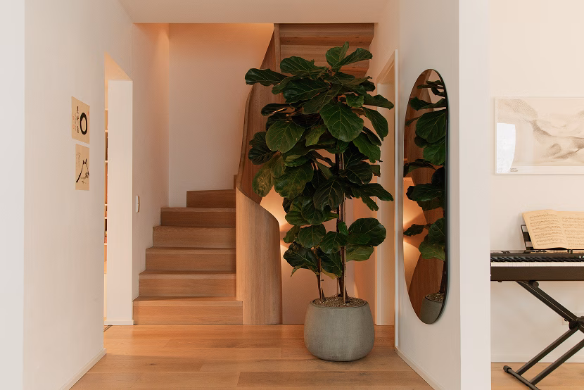 Indoor scene showing wooden staircase with a large potted leafy green plant at its base, light wood floor, white walls, an oval mirror reflecting the plant, and part of a keyboard piano with sheet music on the right.