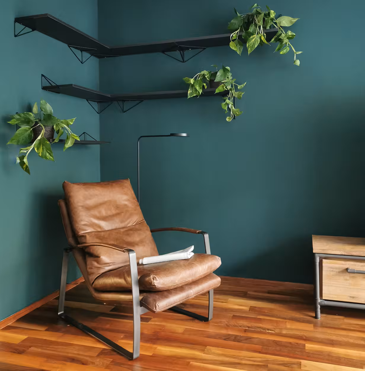 Modern interior corner with teal walls, a brown leather armchair with metal frame, black floating shelves with trailing green plants, a small wooden side table, and a floor lamp with a thin black stand.