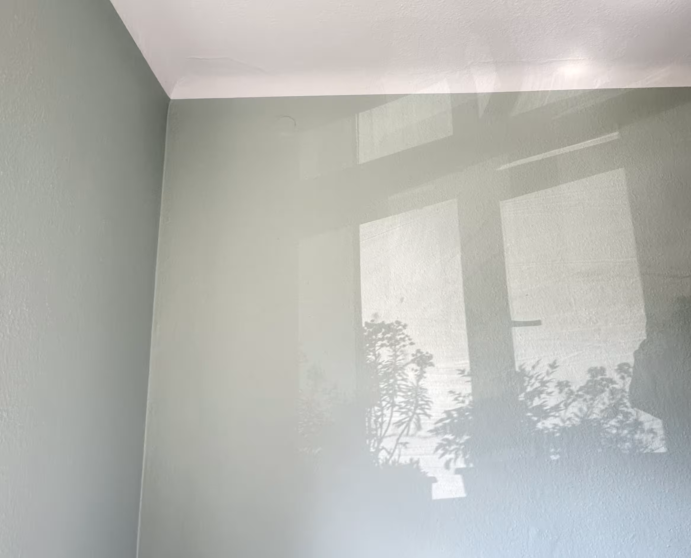 Soft shadows of a window frame and indoor plants cast on a pale neutral-colored wall in a corner of a room.