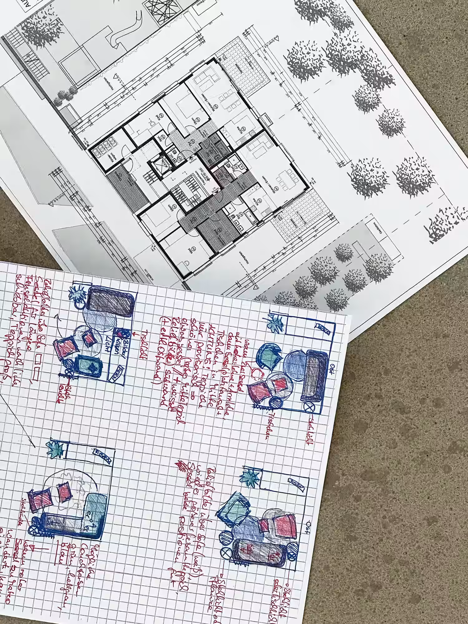 Two architectural drawings on a surface: the top one is a detailed black and white floor plan with trees and measurements; the bottom one is a hand-drawn sketch on graph paper showing four small layout designs of furniture arrangements with annotations in red ink.