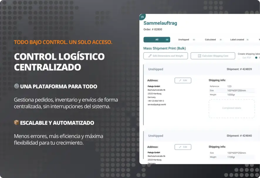 Gestión logística central: pedidos colectivos en una plataforma del servicio logístico de comercio electrónico pakajo