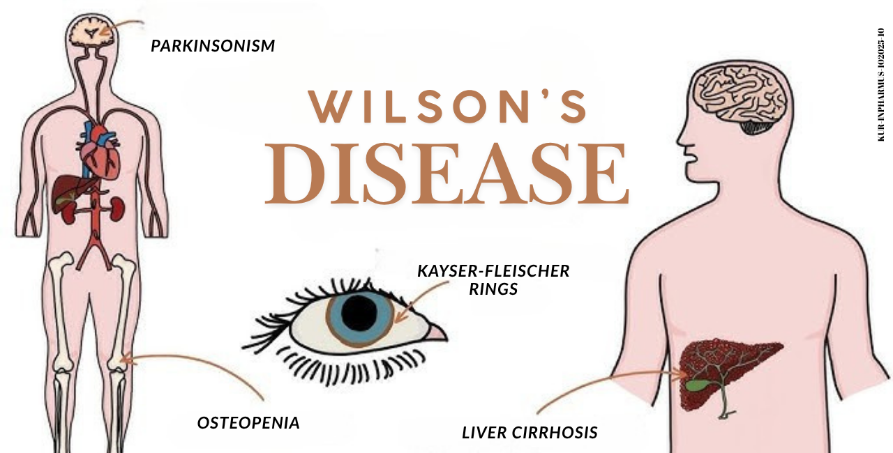 The Discovery and Life-Saving Importance of Vaccines