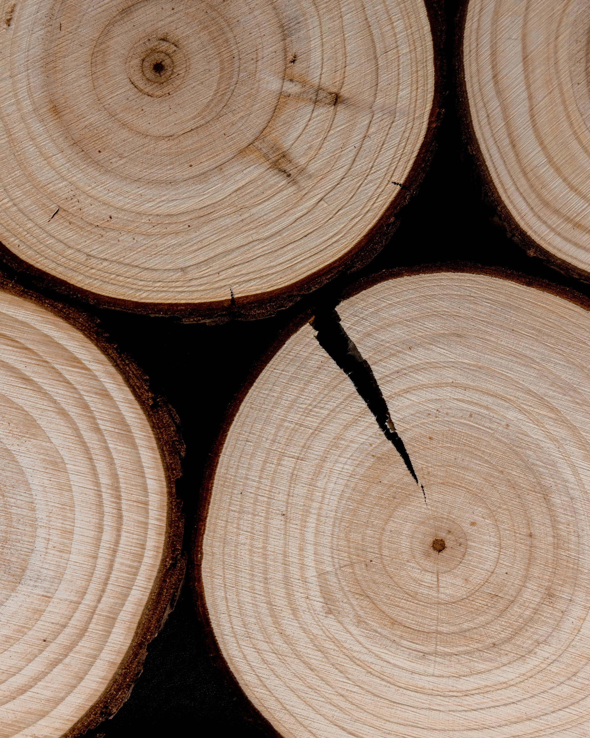 Close-up of four wooden logs cut crosswise showing growth rings and bark edges with a crack in one log.