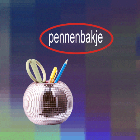 pennenbakje 12x10.5cm disco