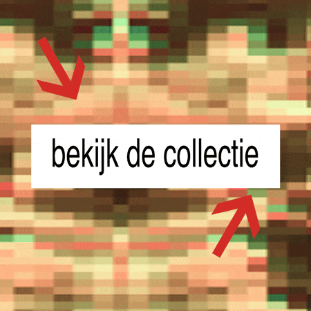 Ontdek de Bloem collectie