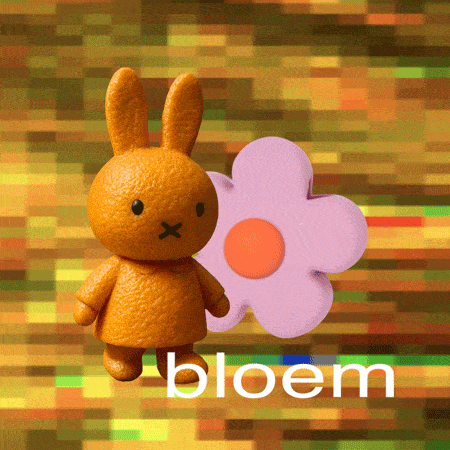 Ontdek de Bloem collectie