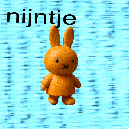 Ontdek de Nijntje collectie