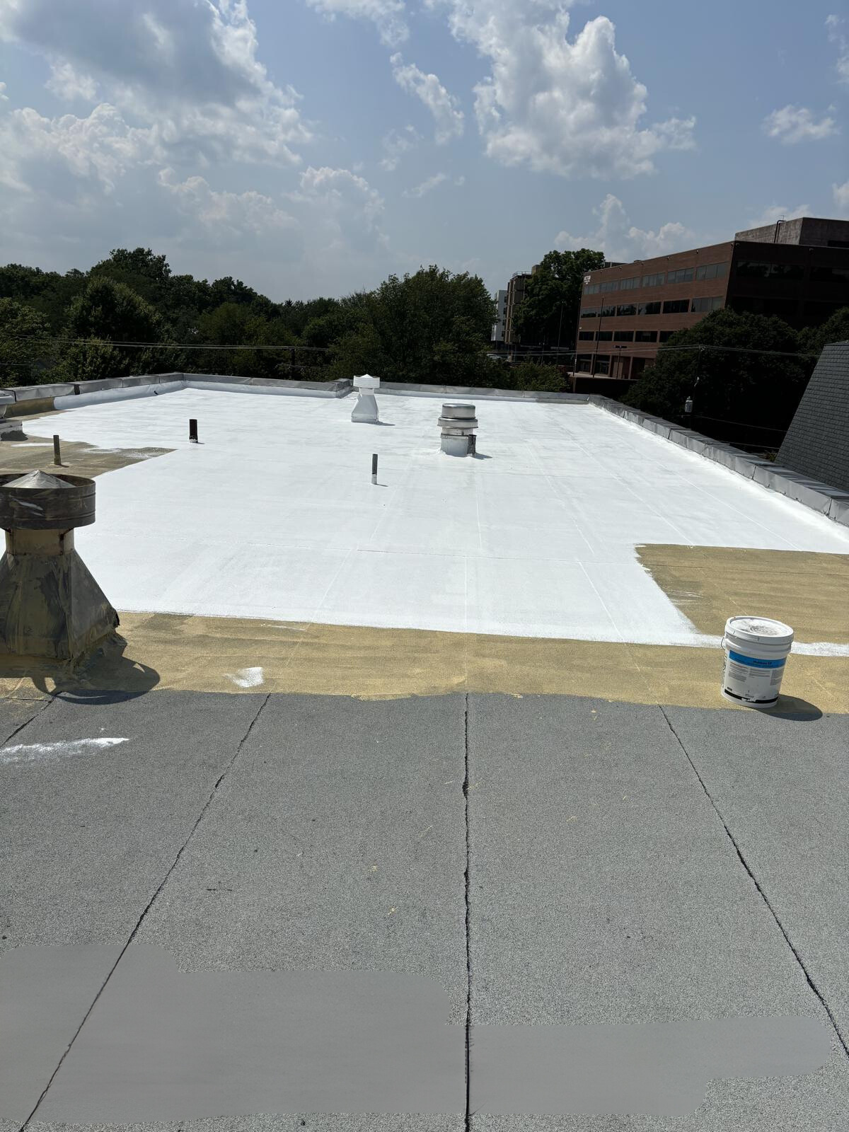 Installation of a Silicone Flat Roof Coating with Primer. 