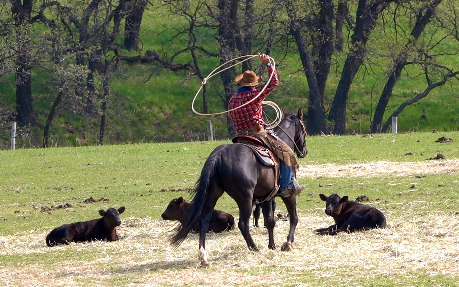 horse riding holiday