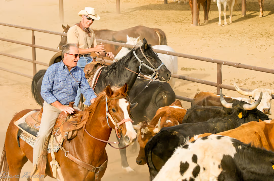 Horse riding holiday