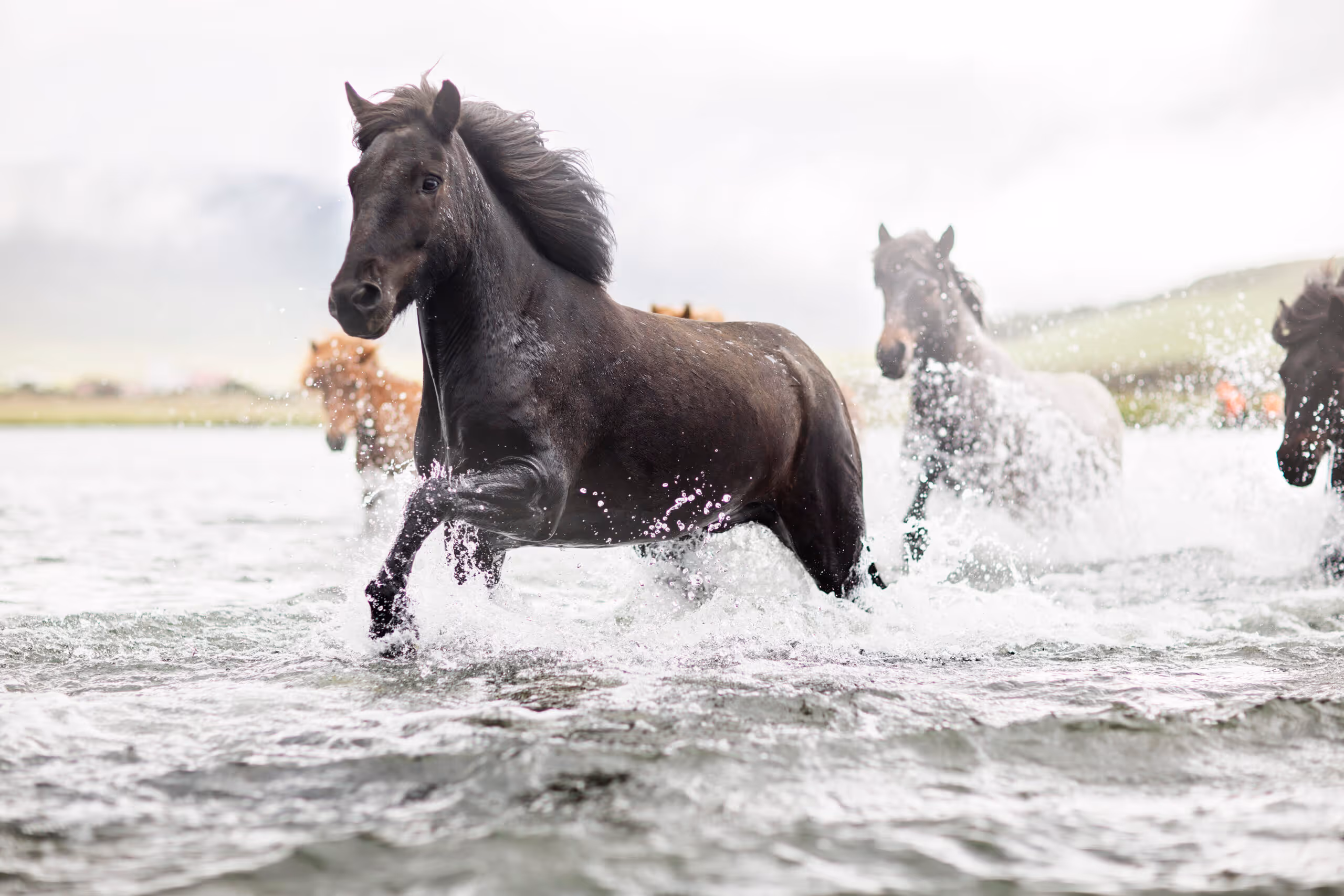 horse riding holiday