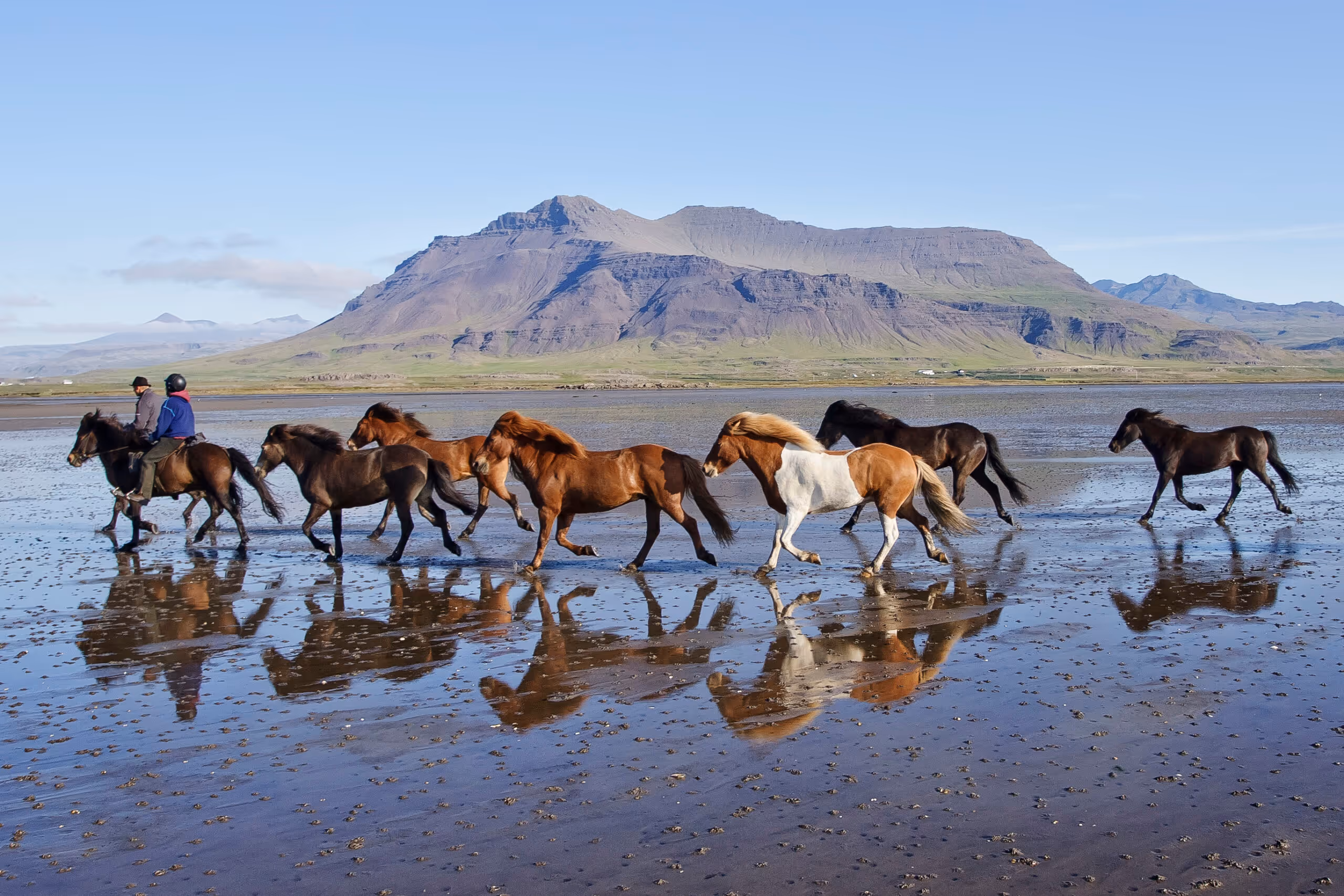 Horse riding holiday