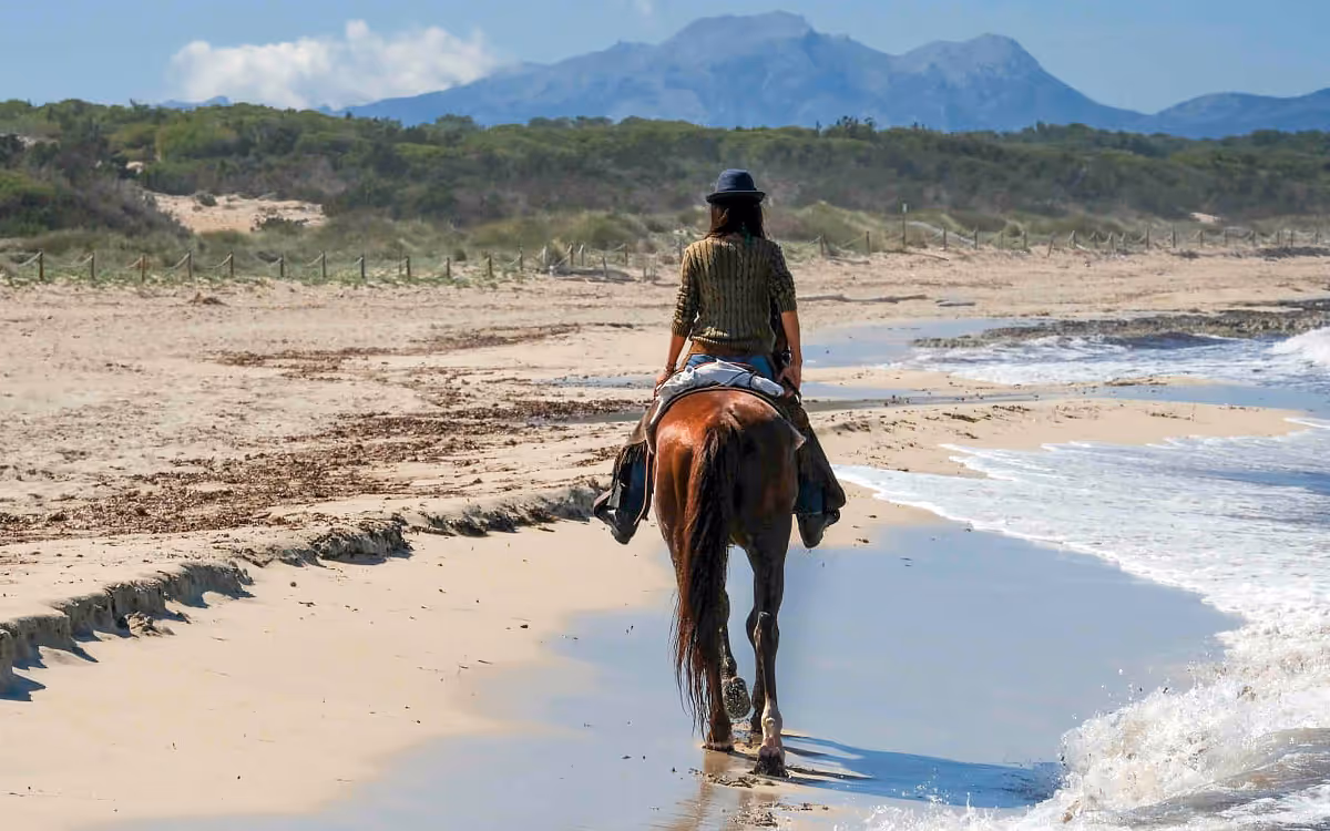 Horse riding holiday
