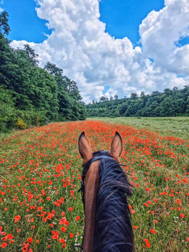 horse riding holiday