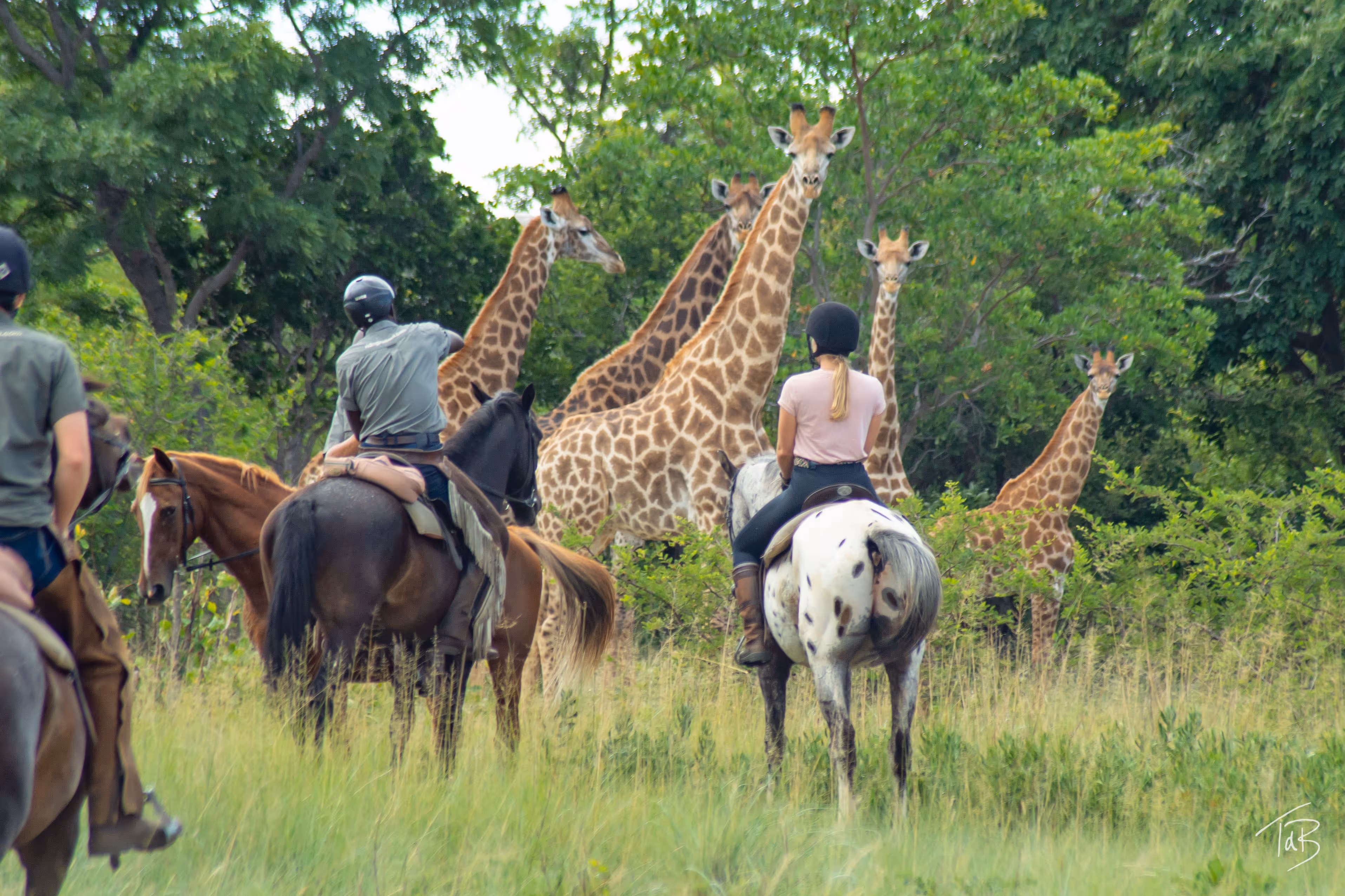 horse riding holiday