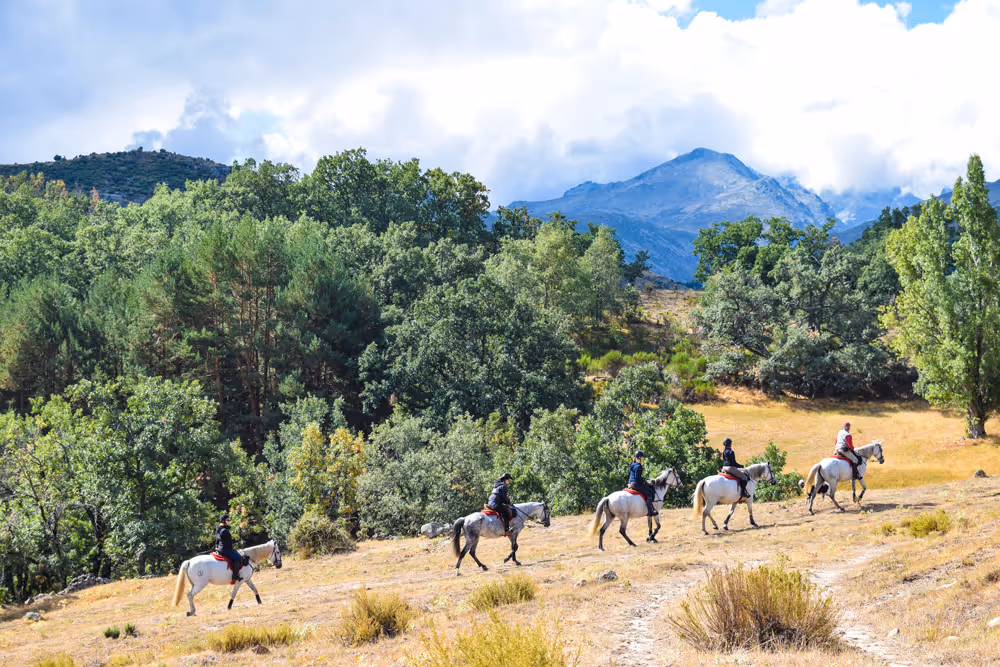 horse riding holiday