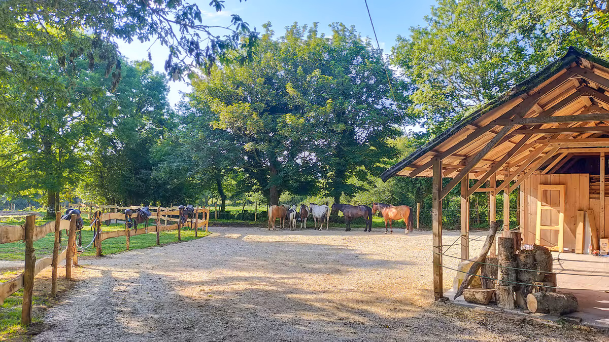 horse riding holiday