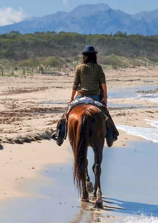 Horse riding holiday