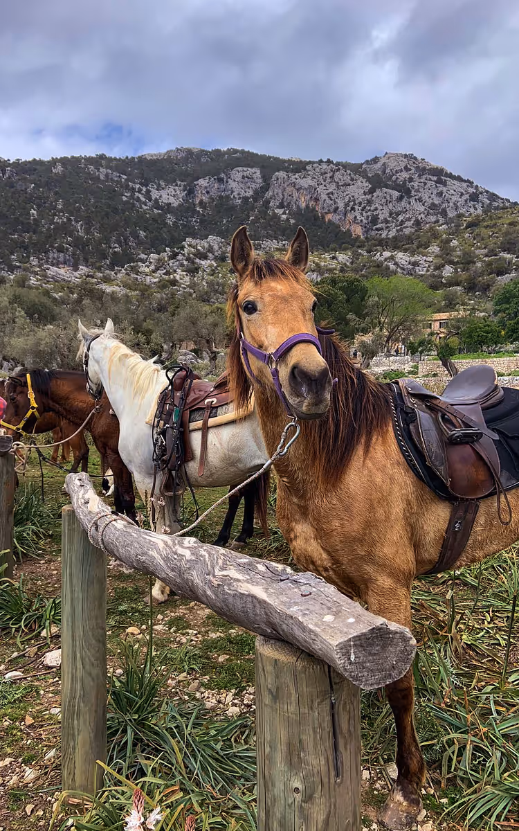 horse riding holiday