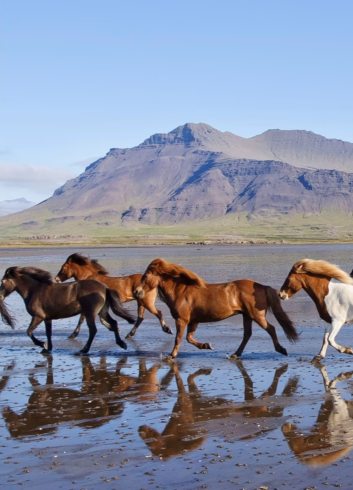 Horse riding holiday